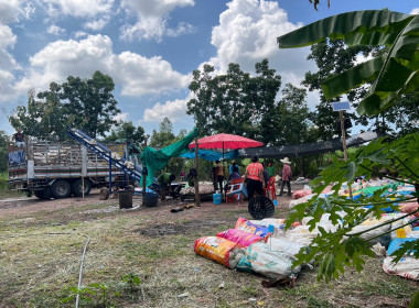 ลงพื้นที่ติดตามการใช้เงินกู้กองทุนสงเคราะห์เกษตรกร พารามิเตอร์รูปภาพ 6